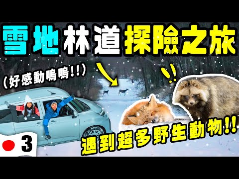 肉比頭 YouTube 影片