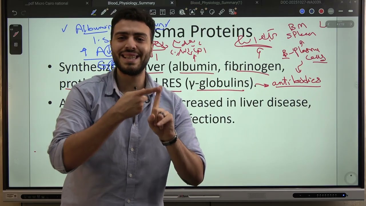 Blood physiology 