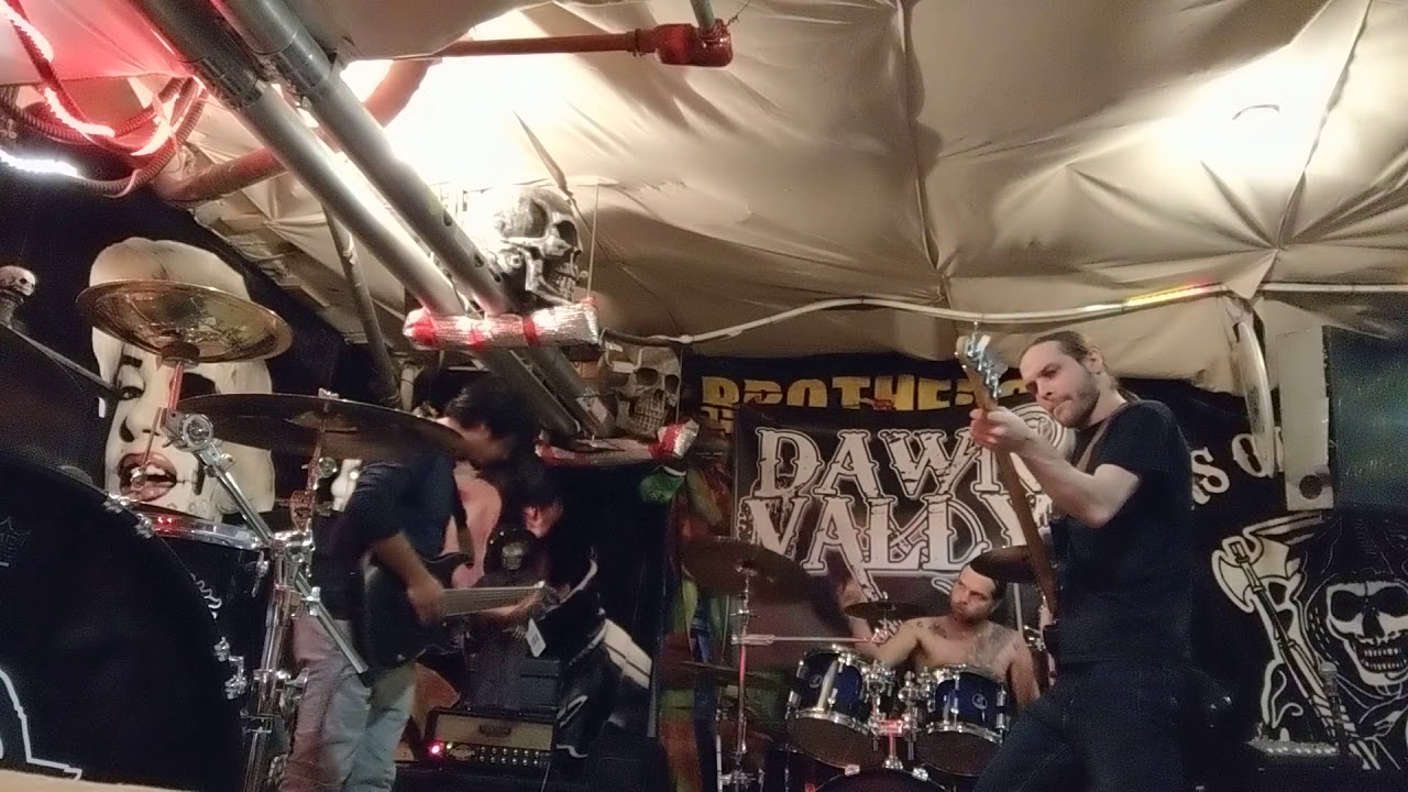 It s Like Getting A Rabbit Off Your Back Live YouTube