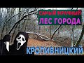 "Шервуд" в Кропивницком: Самый мрачный лес города