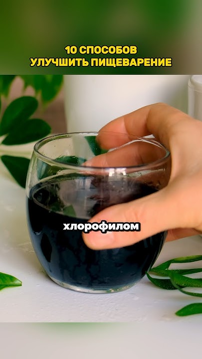 Как улучшить пищеварение? - YouTube