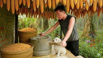 #9 CEO Trieu Hoa left the city to live with nature: Harvesting corn, gardening, traditional recipes