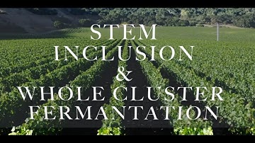 Stem Inclusion & Whole Cluster Fermentation