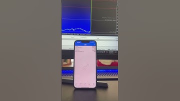high frequency trading (hft bot)