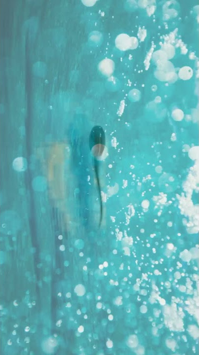 pertumbuhan katak dari kecebong sampai katak dewasa