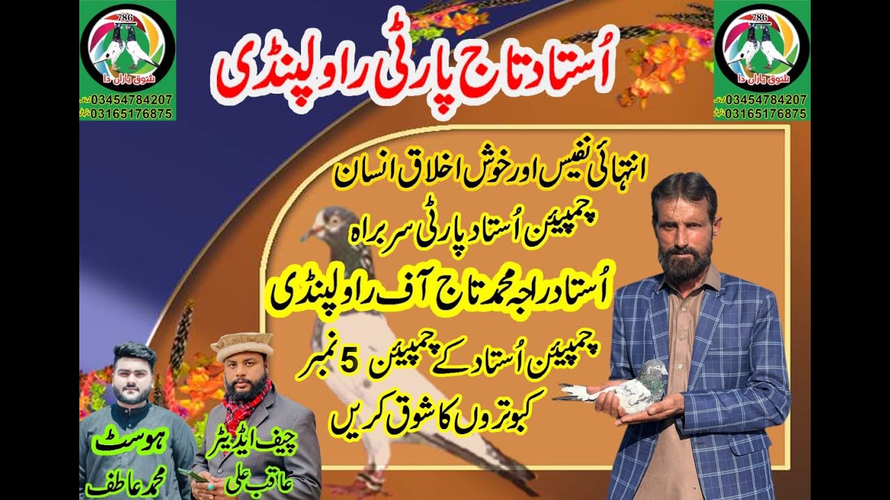 Ustad  muhammad Taj  of rawalpindi|Breader pair| Parwazi kabutar