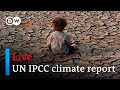 Watch live: UN IPCC releases new report on the impacts of climate change | DW News