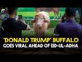 Albino buffalo nicknamed ‘Donald Trump’ draws Eid crowds in Bangladesh | Geo News English