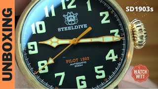 CuSn8 Bronze Pilot Watch | Unboxing STEELDIVE SD1903s screenshot 5