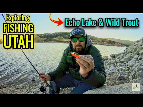 hot-spinner-for-trout-fishing-echo-lake-utah!-black-fly-#012-rainbow-&-brown-trout-spinner-fishing!