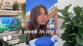weekly vlog ᡣ • . • 𐭩 ♡ | big book haul, dinner with friends, simple days