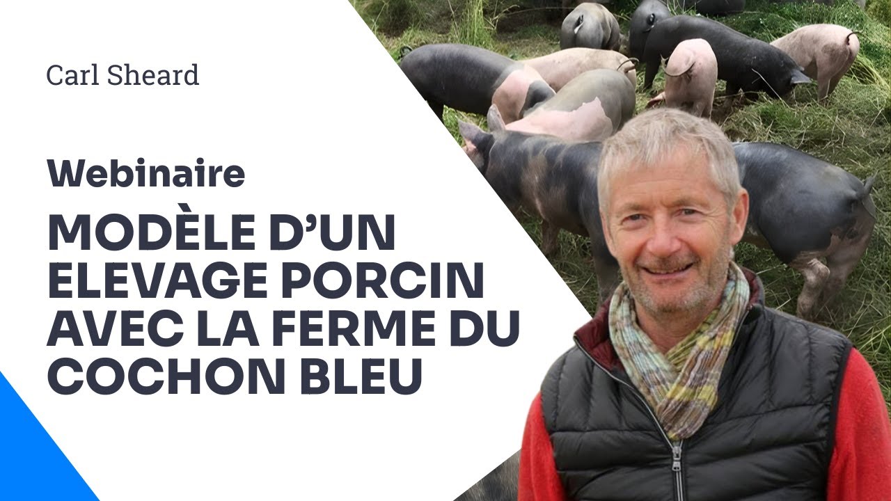 Résilience, bien être et qualité : un modèle d'élevage de porc