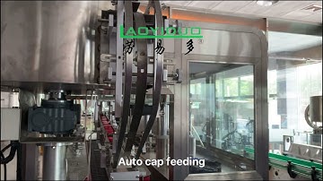 Automatic tracking type screw capping machine
