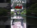 本気で手押し相撲やってみた 本気で手押し相撲やってみた