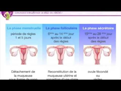 calculer cycle comment calculer cycle menstruel calculer cycle comment calculer cycle menstruel