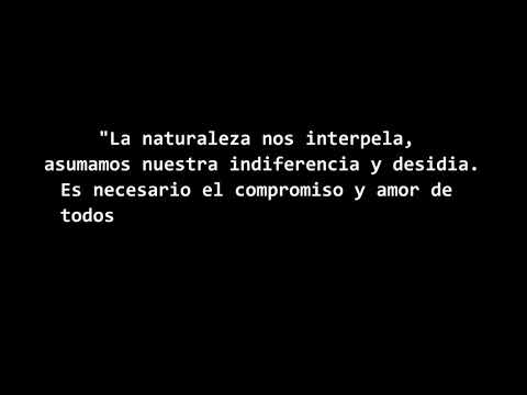 Juntos somos la voz del mundo (Año 2020) - Patricia Sosa - Manuela Bravo - Chaqueño Palavecino y mas