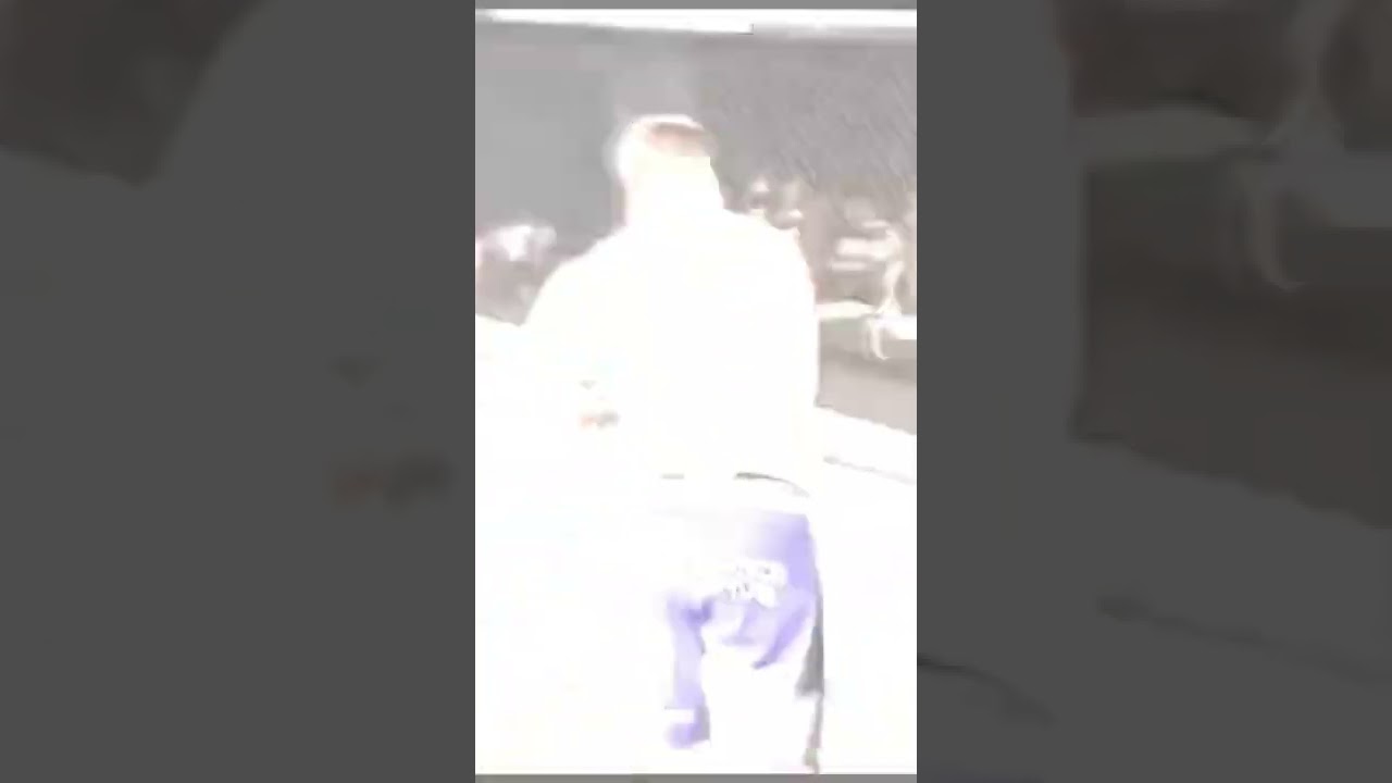 Wanderlei Silva vs Brian Stann Round 1