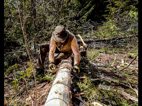 The Log Cabin: Clearing the Site and Preparing the Foundation Logs