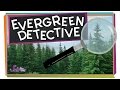 Identifying Evergreens: A Deep Dive into Pine, Fir, and Spruce Trees