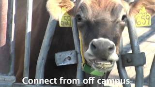 UC Davis Health Sciences Libraries Video Grid: Login to the VPN