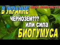 БИОГУМУС БОМБИЧЕСКИЙ ЭФФЕКТ!!!!