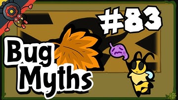 Bug Fables Myth #83: Weak Stomach vs. Vi