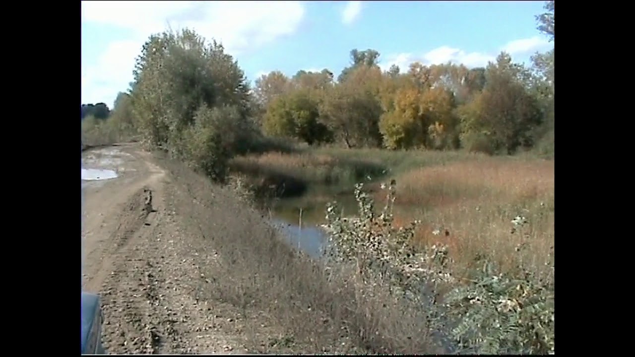 Видео курганинск