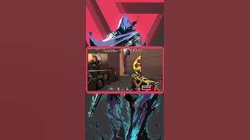 Sacy Phoenix🔥 Goes Berserk! #shorts