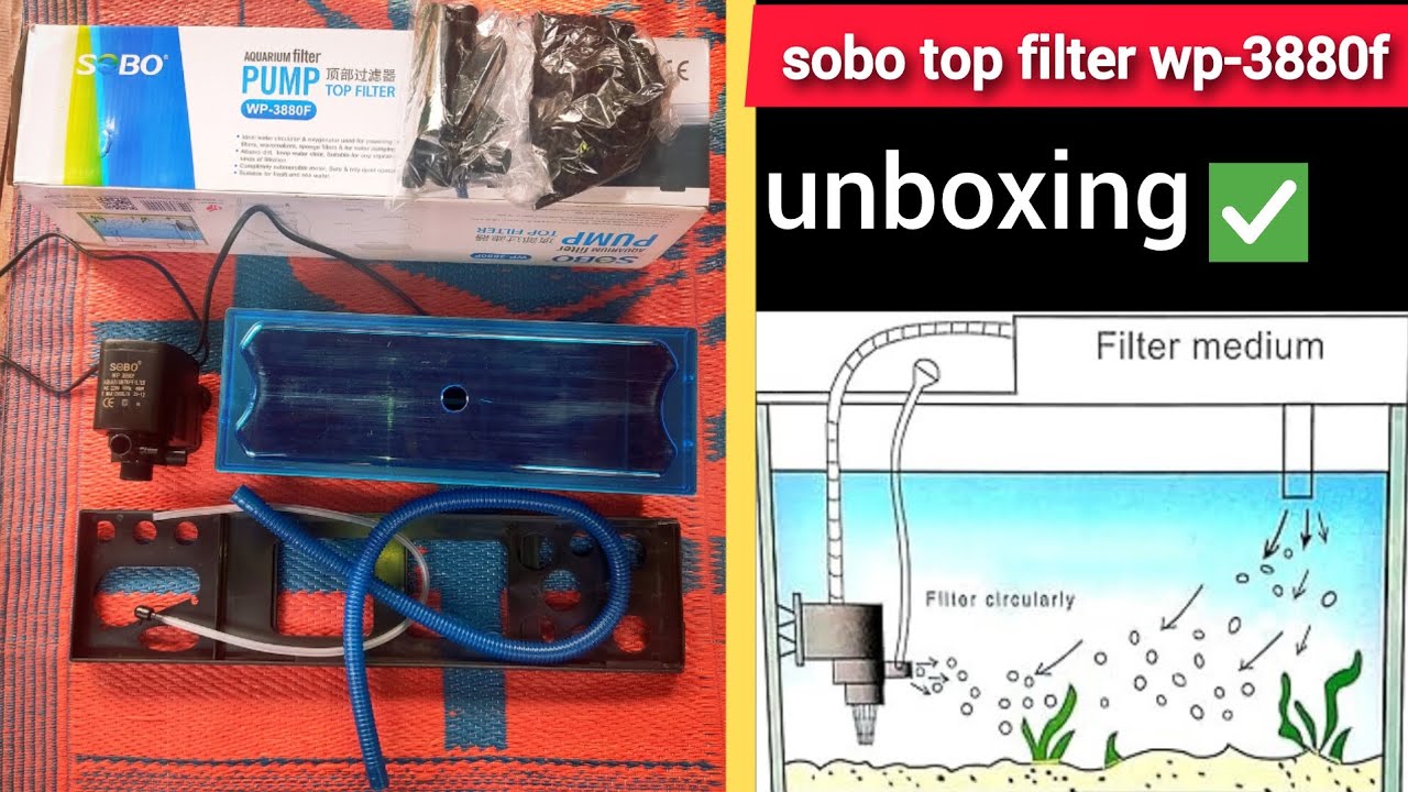 SOBO Wp3880f Top Fillter Price[1800₹]🤑Unboxing Best Fillter💛