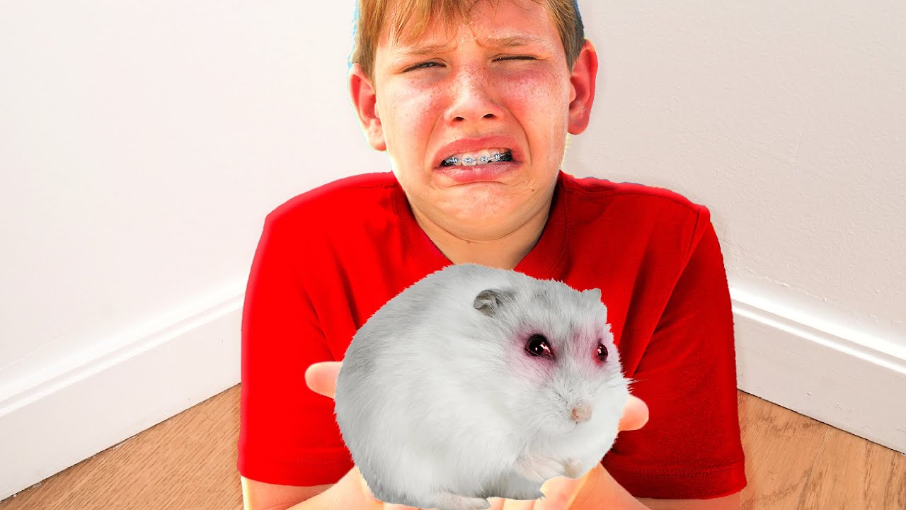 When Evil Hamsters Rule YouTube