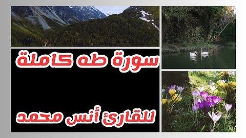 سورة طه كاملة للقارئ أنس محمد تلاوة خاشعة للقرآن الكريم |Surah (Taha) Anas Muhammad