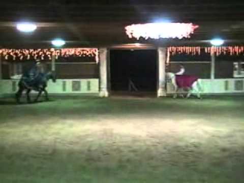 Isaac Royal Equestrian Theater ~ "Zorro"