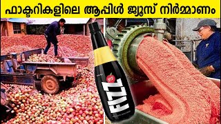 How Apple Juice is Manufactured in Factories | ആപ്പിൾ ജ്യൂസ് ഫാക്ടറിയിൽ ഉണ്ടാക്കുന്ന കാഴ്ചകൾ