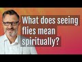 What does seeing flies mean spiritually?