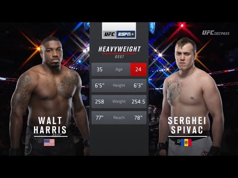Serghei Spivac vs Walt Harris fight footage