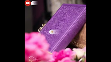 #سورة_التكاثر #ياسر_الدوسري #قرآن #الله #يارب #تلاوات #قران_كريم #تلاوة #أرح_سمعك_وقلبك #قرآن #الله