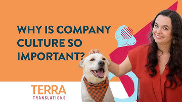 Why is Company Culture So Important?