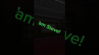I Am Steve, Part 4