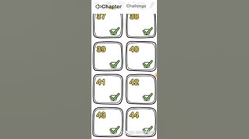 Brain out find out the object level 40