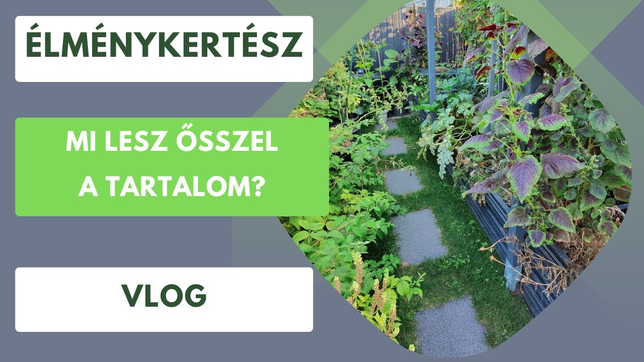 Mi mindent fogunk csinálni ősszel?🍂