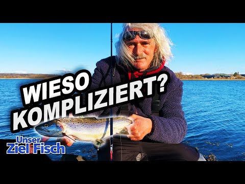 MEERFORELLE: EINFACHER GEHT'S NICHT - Unser Ziel ist Fisch - Angelschule mit Jörg Ovens