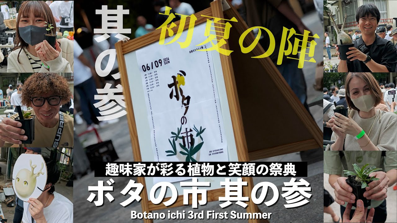 【イベントレポ】『ボタの市 其の参 -初夏の陣-』北千住 草の祭典再びの再び！｜植物イベント｜植物フリマ｜多肉植物｜塊根植物｜アガベ｜パキポディウム