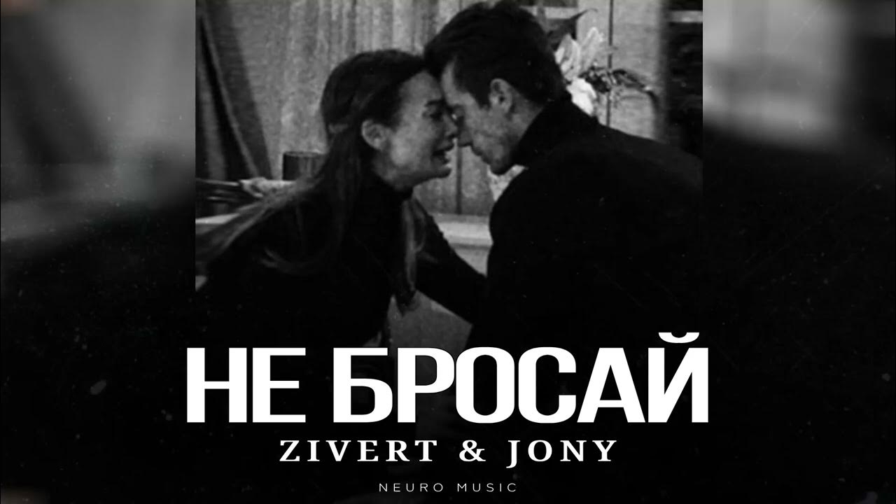 Видео не бросай меня. Ты бросил меня. Видео не бросай меня. Картинки котят. Демотиваторы на тему бездомные животные.
