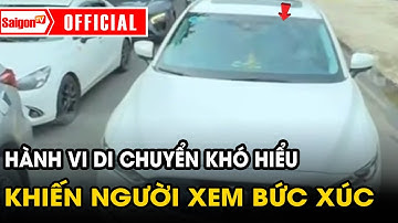 Hành vi di chuyển khó hiểu khiến người xem bức xúc  | Tin tức SaigonTV