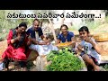 My family time /My organic kitchen garden/Live villagelife withme in Hyderabad
