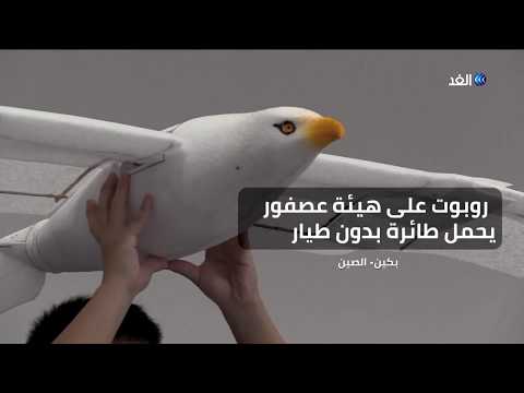 شاهد روبوت على هيئة عصفور يحمل طائرة بدون طيار