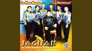 Miniatura del video "Jaguar De San Marcos Guerrero - La Mentirosa"