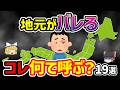 【日本地理】あなたは○○県出身ですね。コレの呼び方で地元がバレるもの19選を徹底解説! 【日本地理 / ゆっくり地理 / 都道府県 / ゆっくり解説】