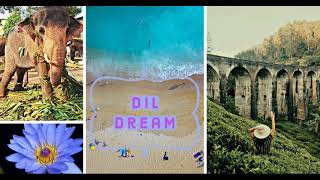 Video Thumbnail for IMG Worlds of Adventure