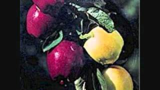 The Washington Apples. Fresh Counrty Apples
